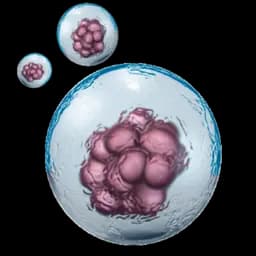 Celule Stem Vegetale