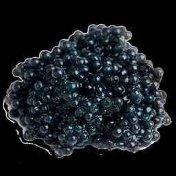 Extractul de caviar