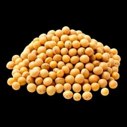 Complexul de extracte vegetale (ciupercă reiși, soia, codonopsis, prună kakadu, prună ume, troscot multiflor)