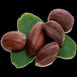 Complexul de uleiuri (shea, jojoba)