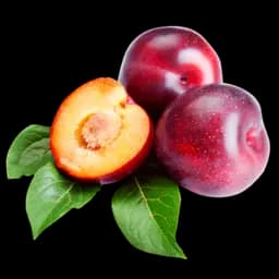 Extractul de prune