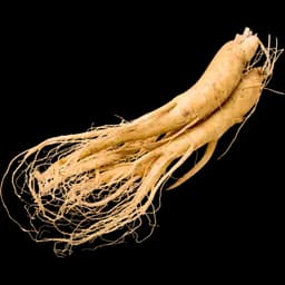 Extract de Ginseng