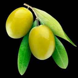 Olive Oil PEG-7 Esters